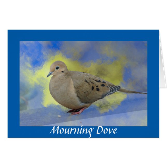 Mourning Dove (Front Horizontal)