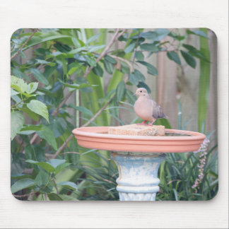 Mourning Dove at Birdbath Mouse Mat