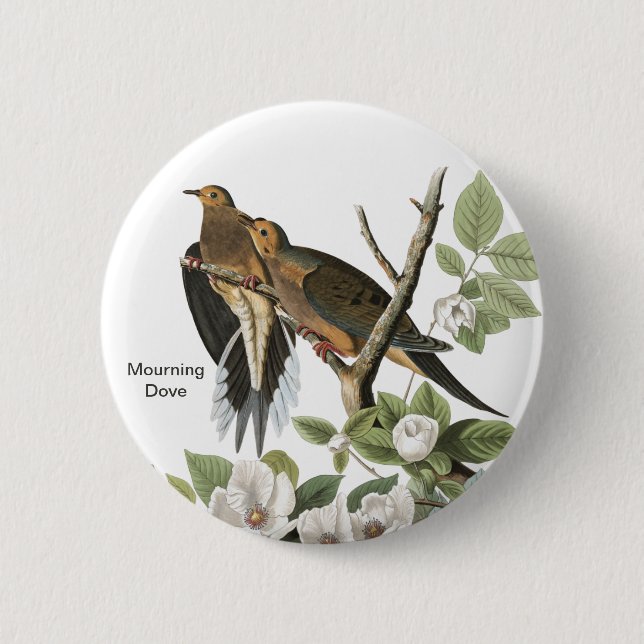 Mourning Dove, Audubon, Birder Birdwatcher, Bird 6 Cm Round Badge (Front)