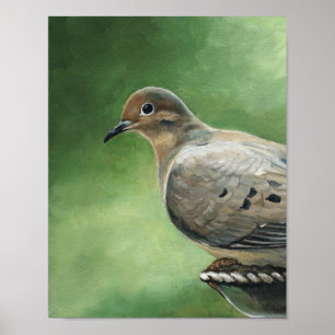Mourning Dove Bird Art Print