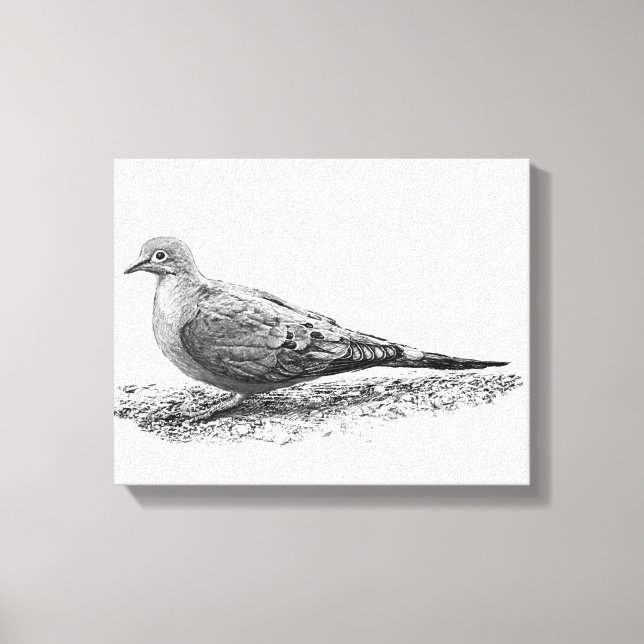 Mourning Dove Canvas Print (Front)