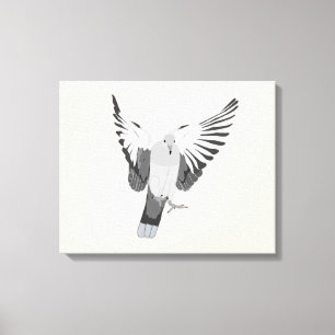 Mourning Dove Canvas Print