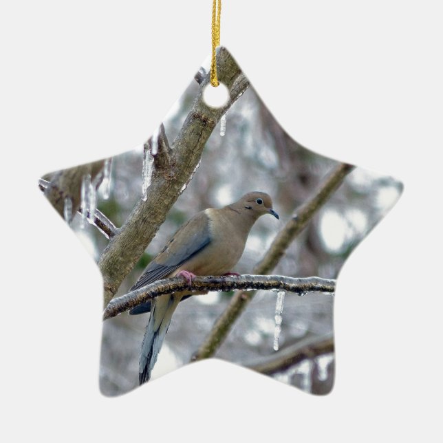 Mourning Dove Ceramic Ornament (Front)