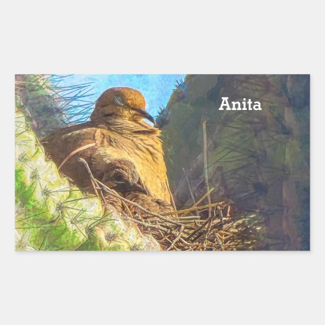 Mourning Dove Female With Baby Saguaro Cactus Nest Rectangular Sticker (Front)