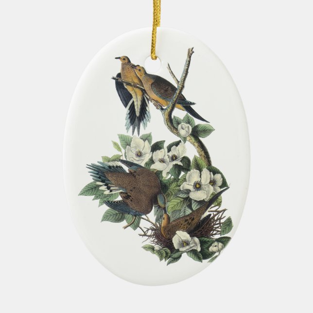 Mourning Dove, John Audubon Ceramic Tree Decoration (Front)