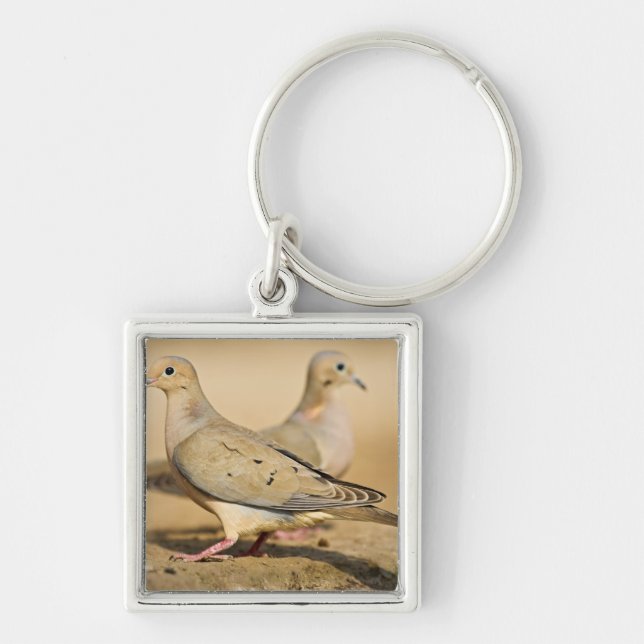 Mourning Dove Key Ring (Front)