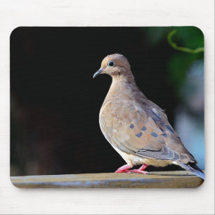 Mourning Dove Mouse Mat