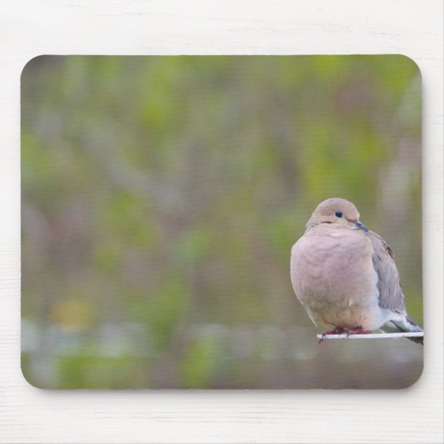 Mourning Dove Mouse Mat (Front)