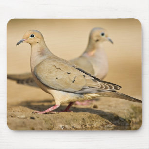 Mourning Dove Mouse Mat