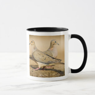 Mourning Dove Mug