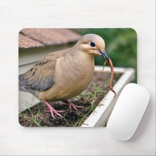 Mourning Dove On a Gutter With a Worm Mouse Mat