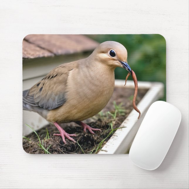 Mourning Dove On a Gutter With a Worm Mouse Mat (With Mouse)