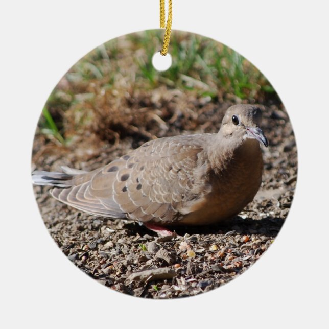 Mourning Dove ornament (Front)