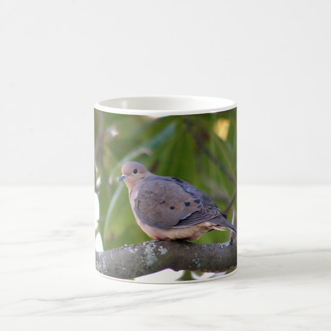 Mourning Dove Photo Coffee Mug (Center)