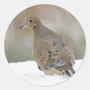 Mourning Dove photo on Personalised Round Stickers