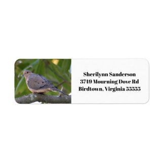 Mourning Dove Photo Return Address