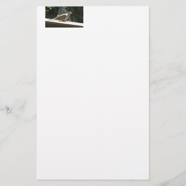 Mourning Dove Stationery (Front)