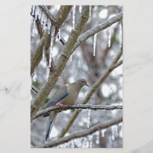 Mourning Dove Stationery
