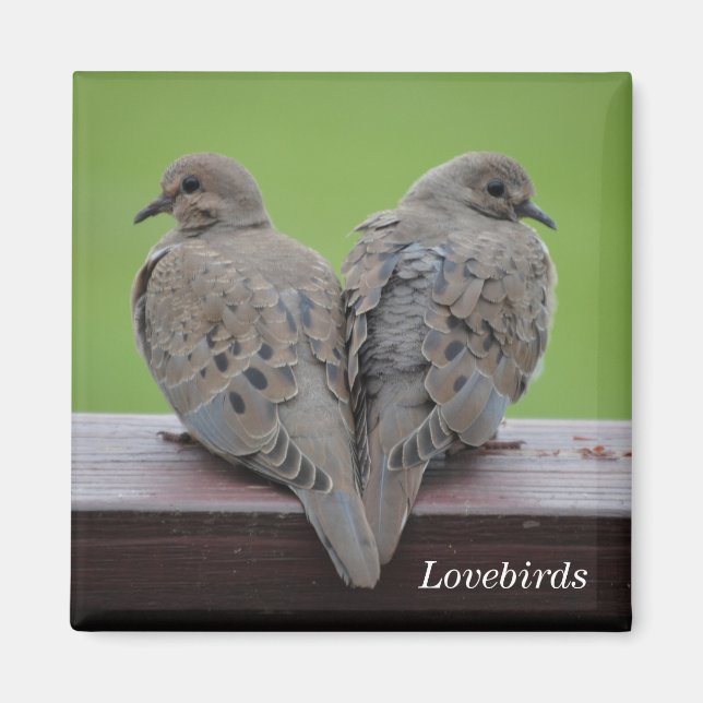 Mourning Doves Magnet (Front)