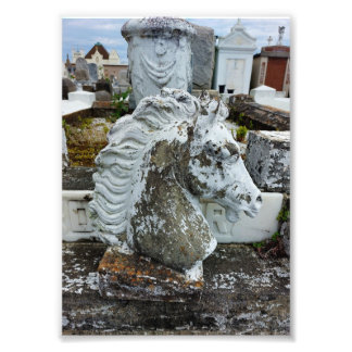 Mourning Horse Photo Print