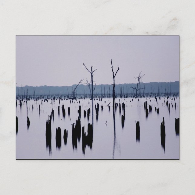 "Mourning Morning" - Postcard (Front)