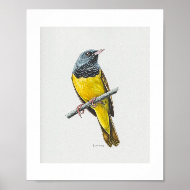 Mourning Warbler Art Print (Front)