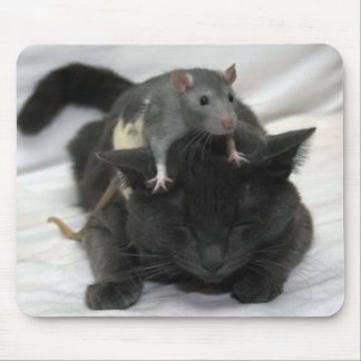 Mouse and cat mouse pad