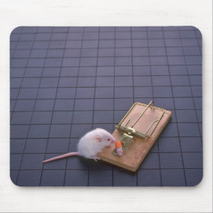 Mouse and trap mat