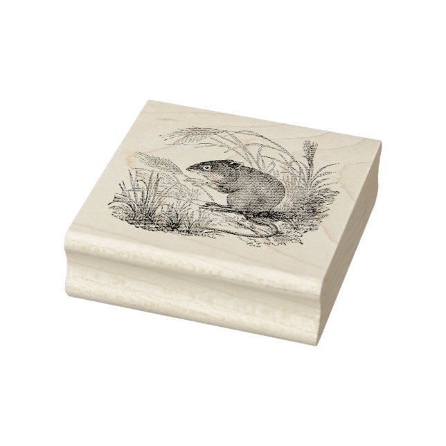 Mouse Authentic Vintage Rubber Art Stamp (Stamp)