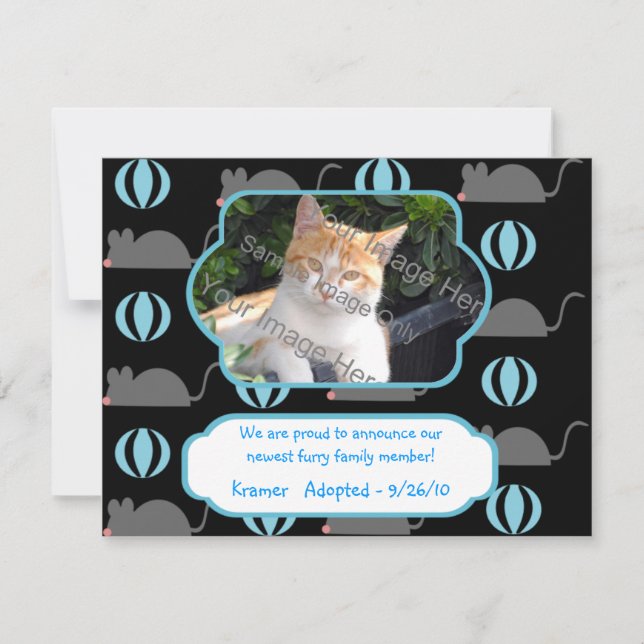 Mouse Boy Cat Adoption Photo Announcement Cards (Front)