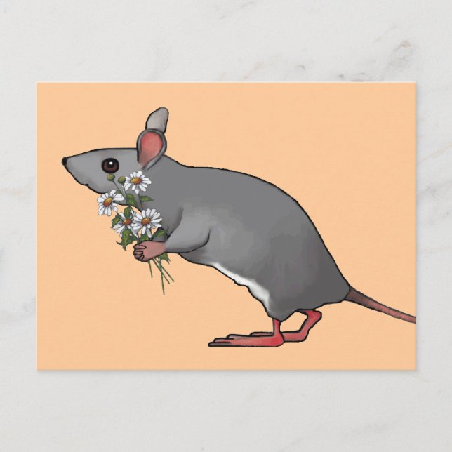 Mouse Bringing Flowers, Daisies: Art Postcard (Front)