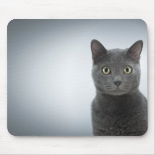 Mouse cat mat