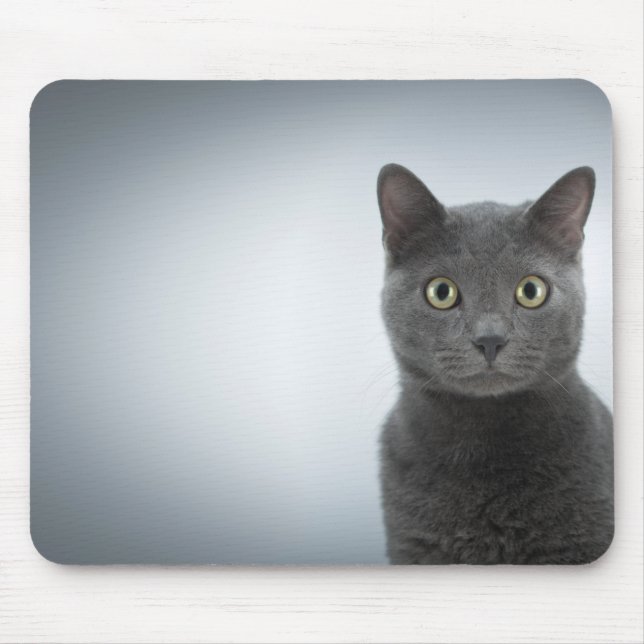 Mouse cat mouse mat (Front)