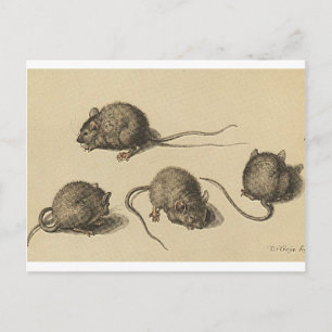 mouse-clipart-2 postcard