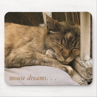 mouse dreams. . . mat