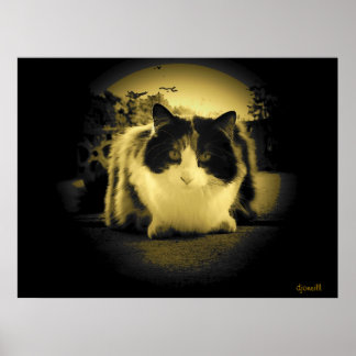 Mouse eye view poster