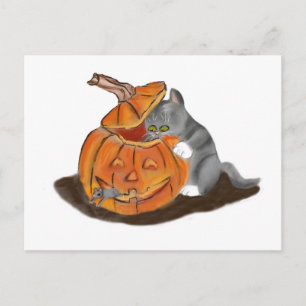 Mouse Hide and Seek in a Carved Pumpkin Postcard