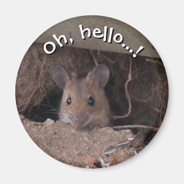 Mouse in Hole Magnet (Front)