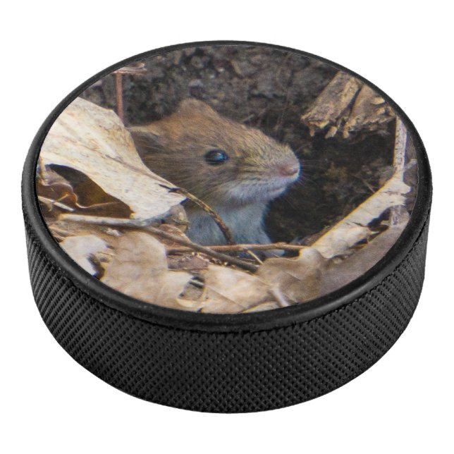 Mouse in the house hockey puck (3/4)