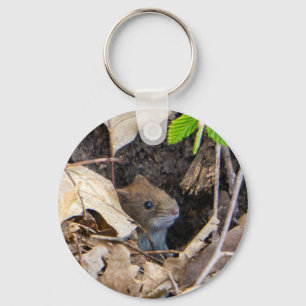 Mouse in the house key ring