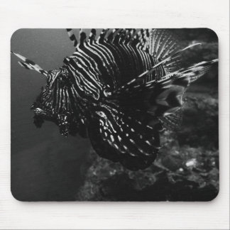 Mouse Like Fish Pad Mouse Mat