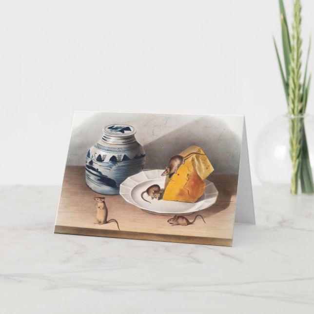 Mouse (Mus-musculus) Illustration Card (Front)