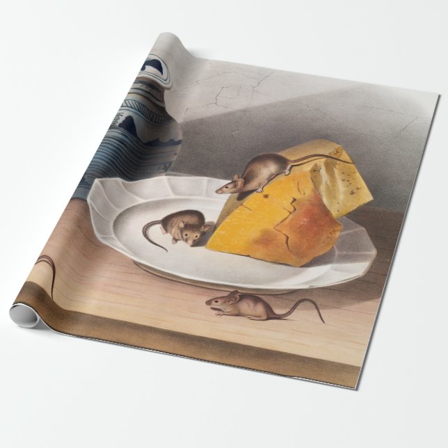 Mouse (Mus-musculus) Illustration Wrapping Paper (Unrolled)