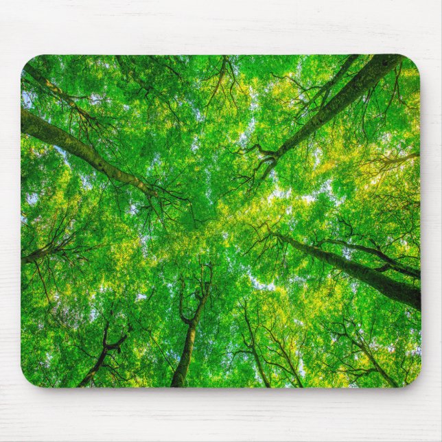 Mouse pad (Front)