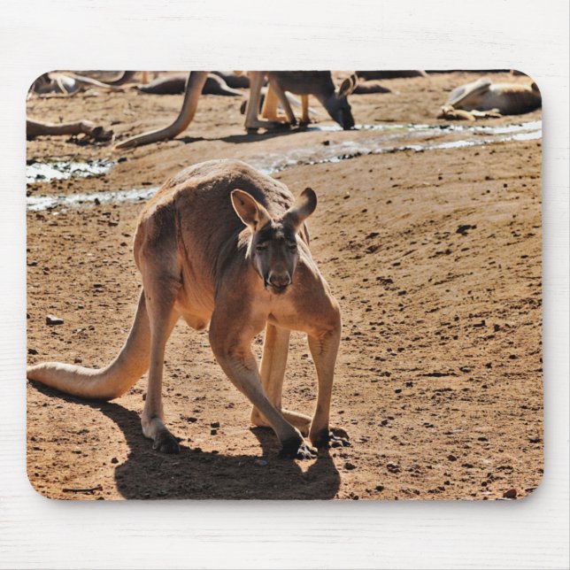 mouse pad (Front)