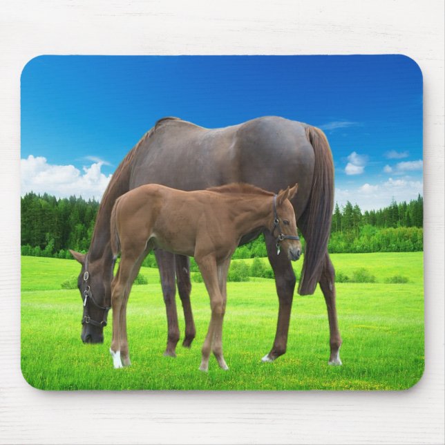 Mouse pad (Front)