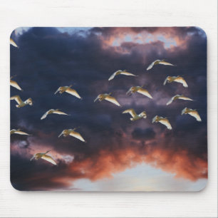 Mouse pad