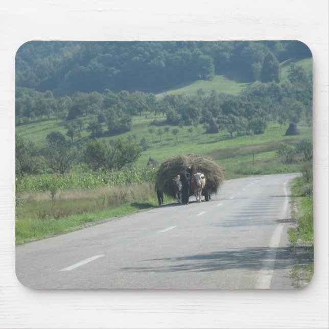 Mouse pad (Front)