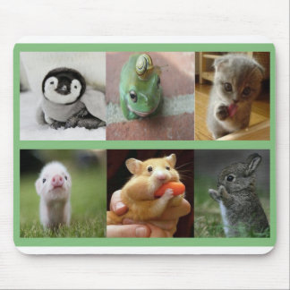 Mouse Pad-Adorable Animals Mat
