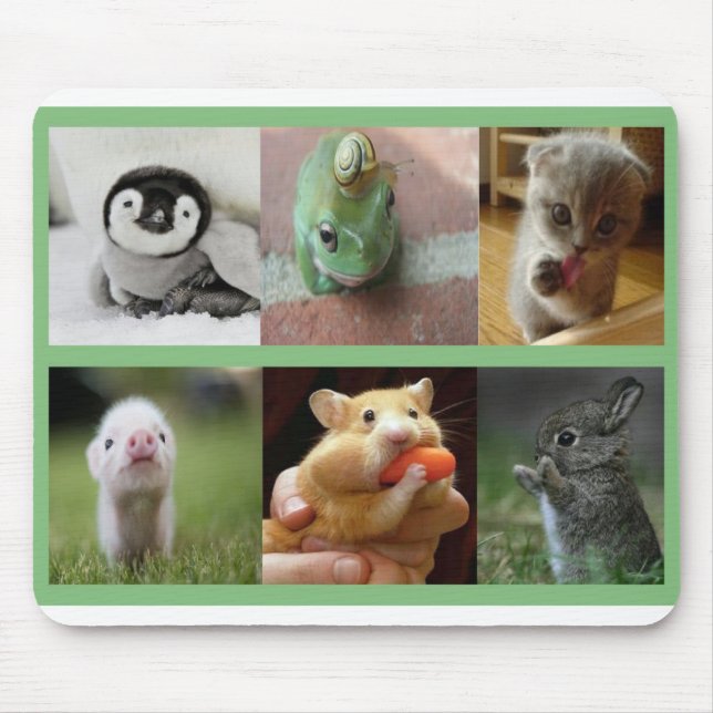 Mouse Pad-Adorable Animals Mat (Front)